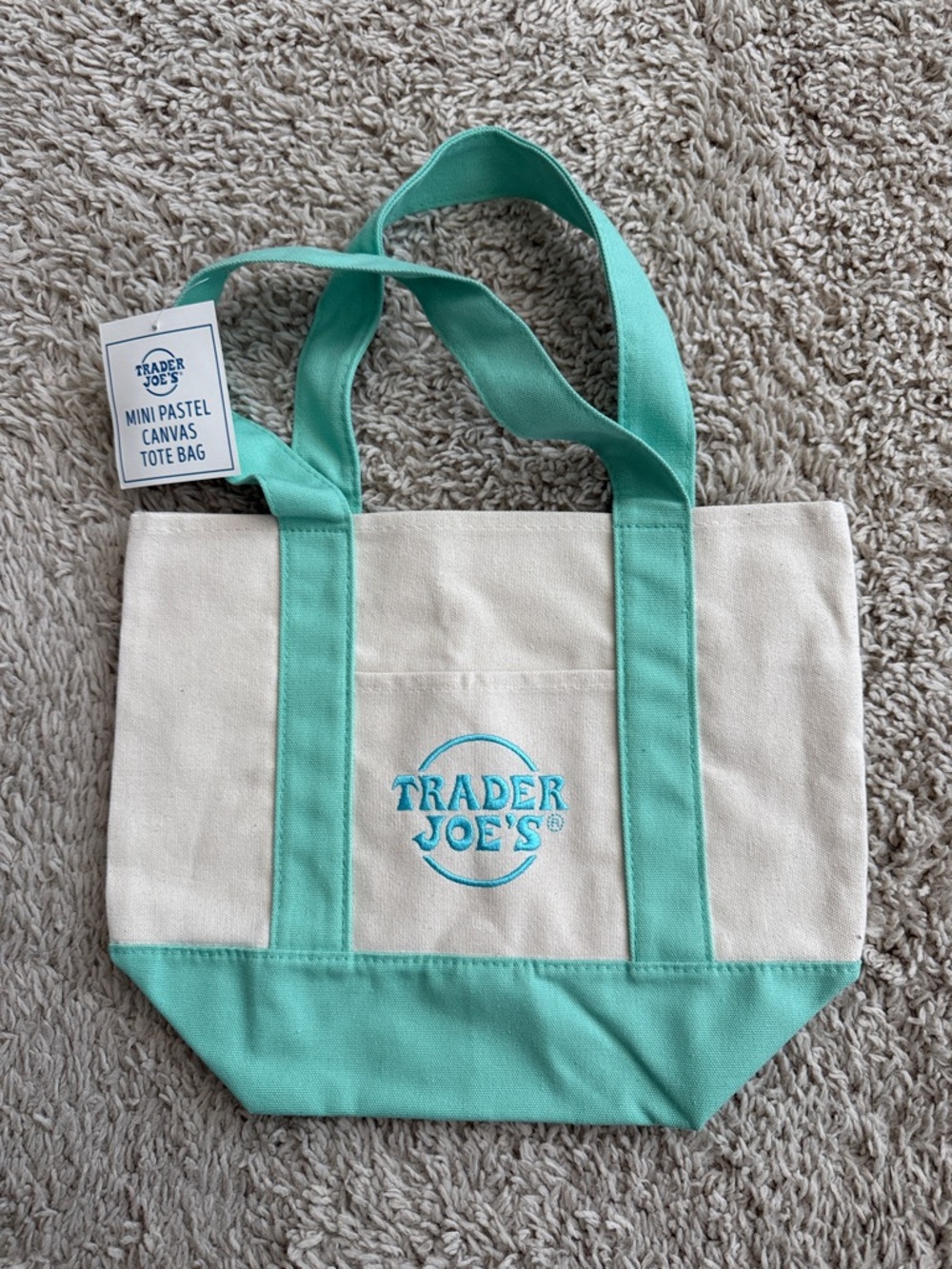 Mini Canvas Tote Bag in Mint